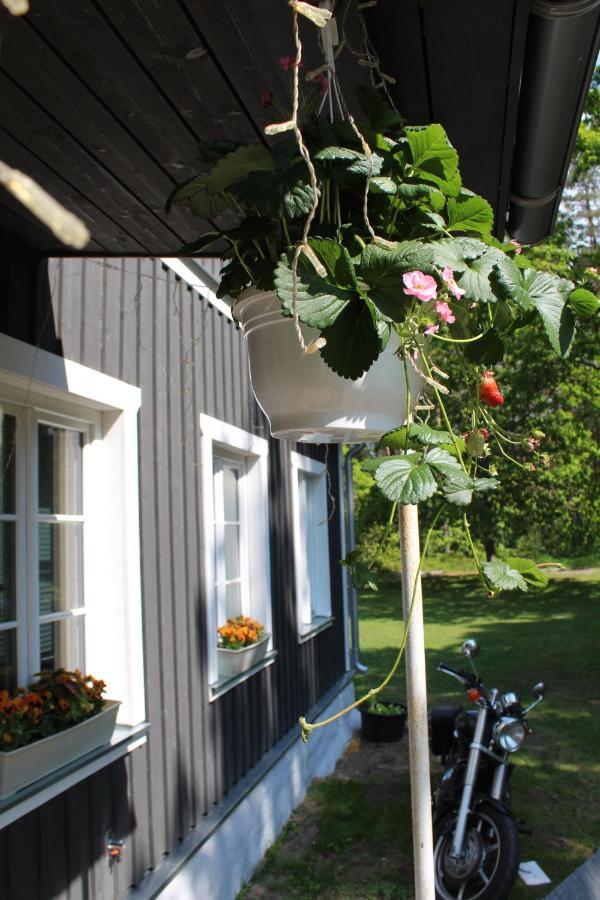 Uki Puhkekuela Hotel Pärnu Eksteriør billede